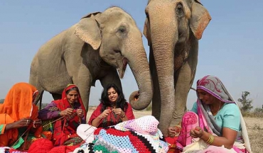 بافت لباس برای فیل های نجات یافته در هند